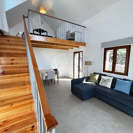 Casas Do Laranjo- & Infinity Pool Villa Gaula