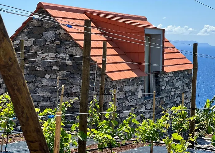 Casas Do Laranjo- & Infinity Pool Gaula