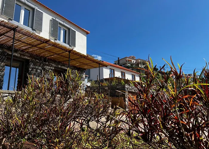 Casas Do Laranjo- & Infinity Pool Gaula