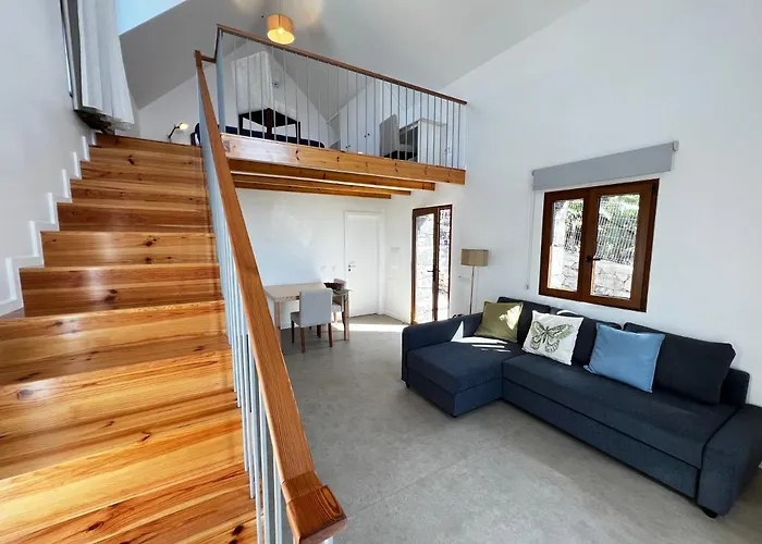 Casas Do Laranjo- & Infinity Pool Villa Gaula