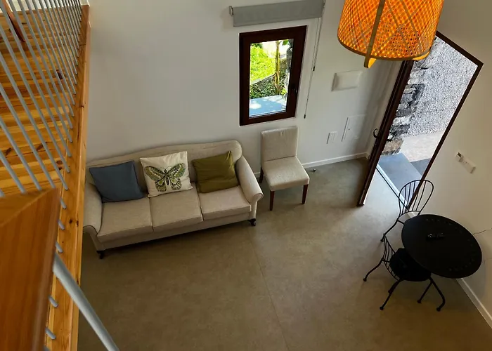 Casas Do Laranjo- & Infinity Pool Gaula